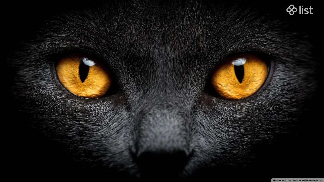 Ashdajsdjhssjashdajs